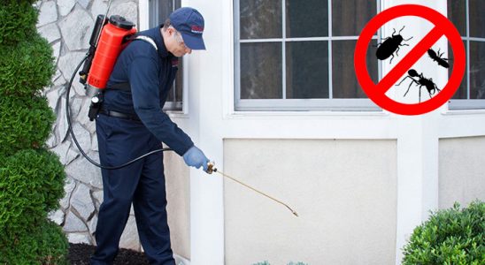 Çine Haşere İlaçlama böcek ilaçlama ve haşere kontrolü — ilaclama-tr.com
